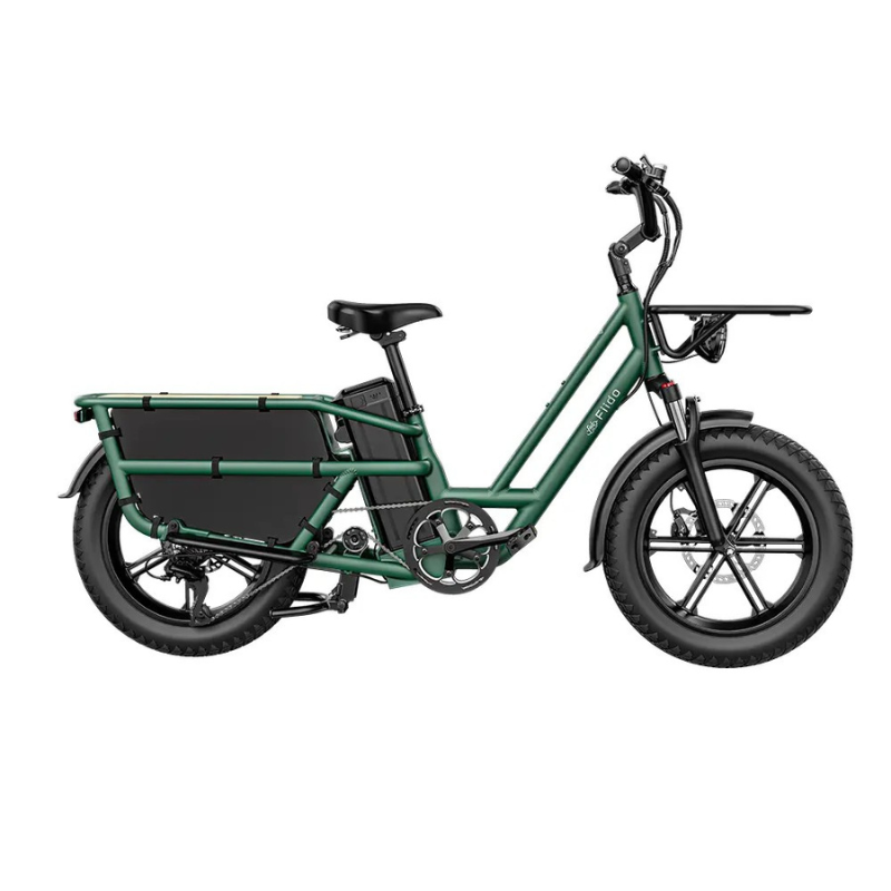 FIIDO T2 LONGTAIL Cargo E-Bike 250W 15.5mph