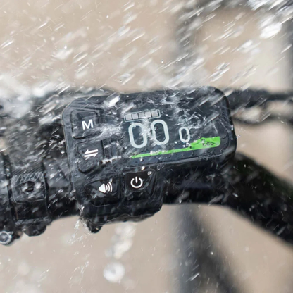 FIIDO T2 LONGTAIL Cargo E-Bike 250W 15.5mph