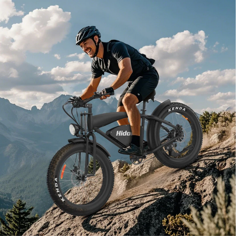 HIDOES B3 Fat Tyre E-Bike 15.5mph 250W Red