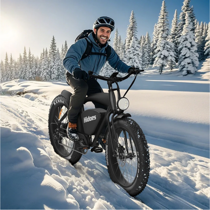 HIDOES B3 Fat Tyre E-Bike 15.5mph 250W Red