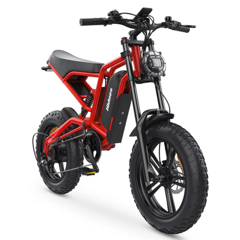 HIDOES B6 CRUISER Adult E-Bike Motorcycle 250W 15.5mph 50mi Speed Adjust System