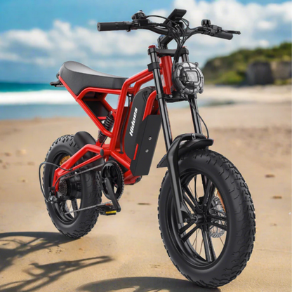 HIDOES B6 CRUISER Adult E-Bike Motorcycle 250W 15.5mph 50mi Speed Adjust System