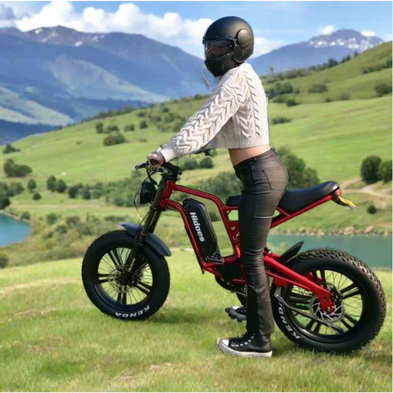 HIDOES B6 CRUISER Adult E-Bike Motorcycle 250W 15.5mph 50mi Speed Adjust System