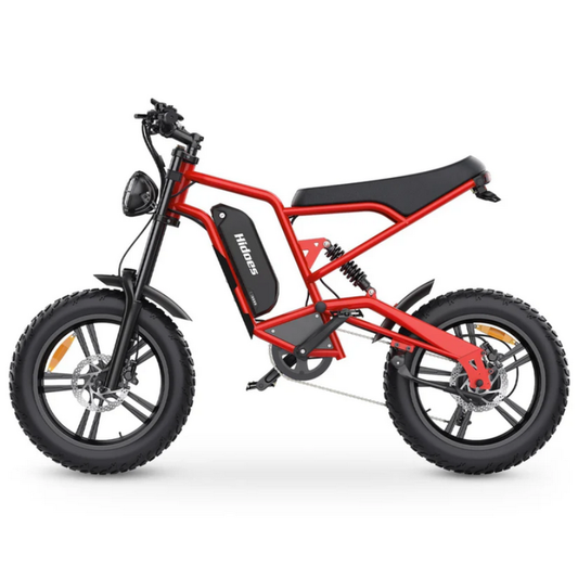 HIDOES B6 CRUISER Adult E-Bike Motorcycle 250W 15.5mph 50mi Speed Adjust System
