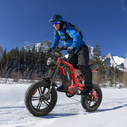 HIDOES B6 CRUISER Adult E-Bike Motorcycle 250W 15.5mph 50mi Speed Adjust System
