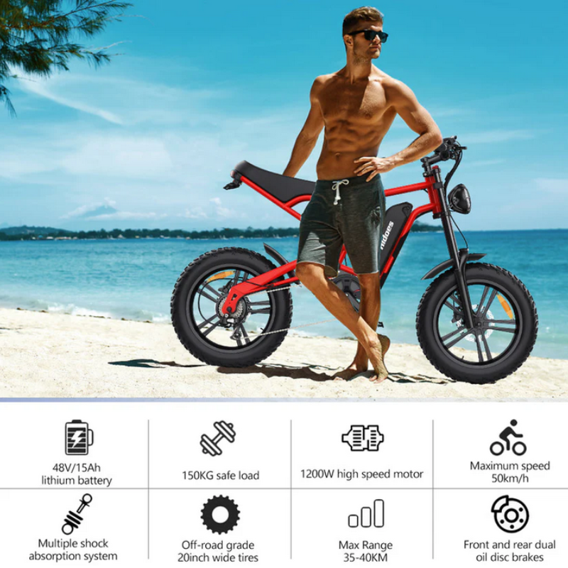 HIDOES B6 CRUISER Adult E-Bike Motorcycle 250W 15.5mph 50mi Speed Adjust System