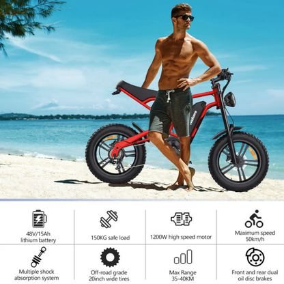HIDOES B6 CRUISER Adult E-Bike Motorcycle 250W 15.5mph 50mi Speed Adjust System
