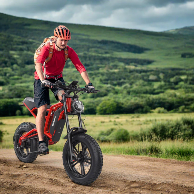 HIDOES B6 CRUISER Adult E-Bike Motorcycle 250W 15.5mph 50mi Speed Adjust System