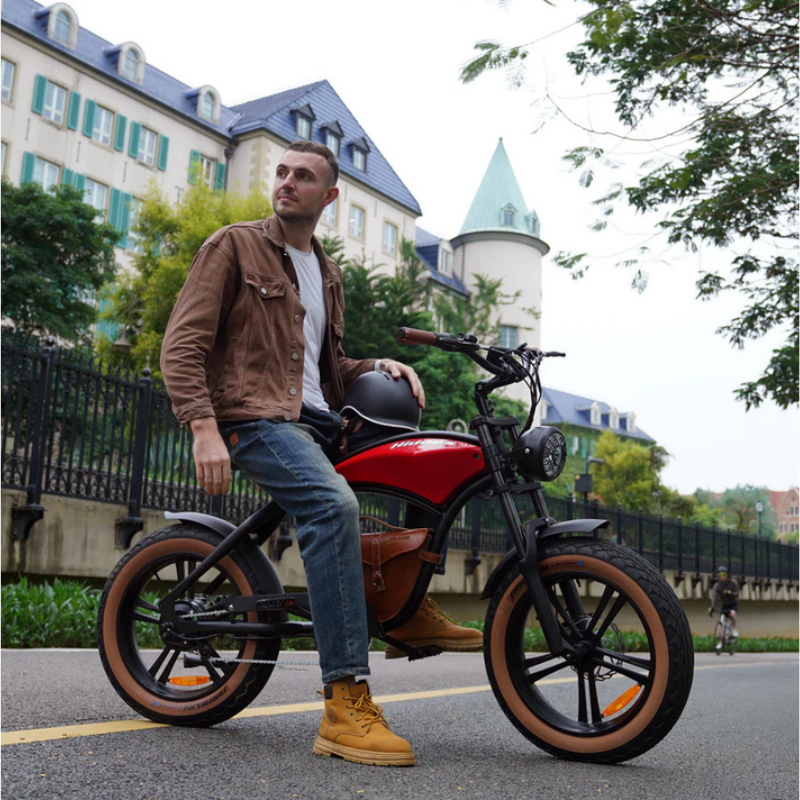 HIDOES B10 COWBOY Fat Tyre E-Bike 15.5mph 250W