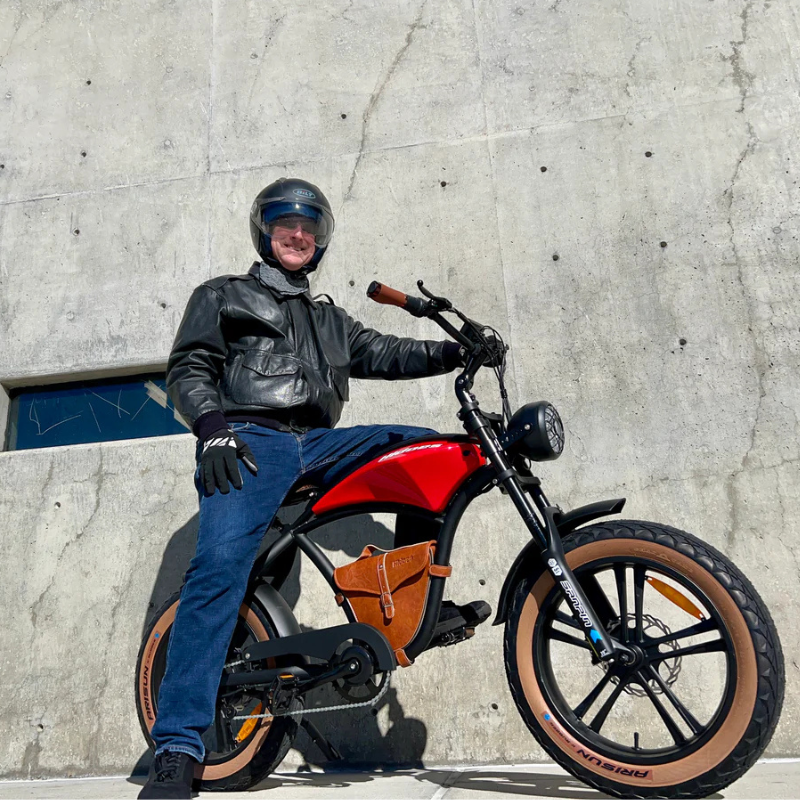 HIDOES B10 COWBOY Fat Tyre E-Bike 15.5mph 250W