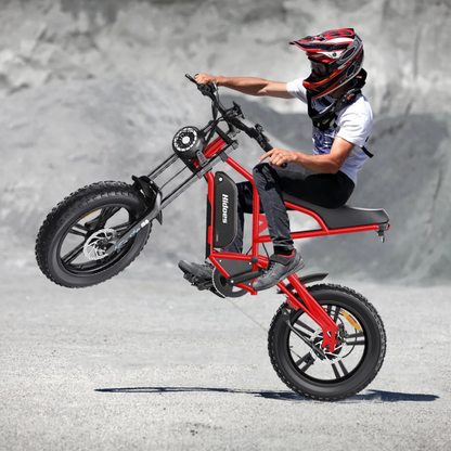 HIDOES B6 CRUISER Adult E-Bike Motorcycle 250W 15.5mph 50mi Speed Adjust System