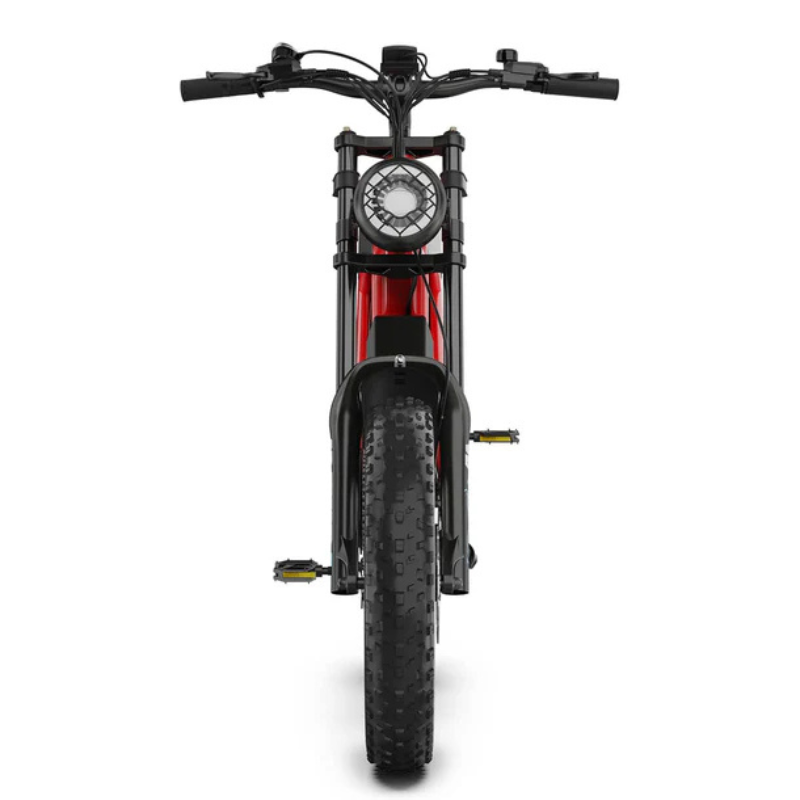 HIDOES B6 CRUISER Adult E-Bike Motorcycle 250W 15.5mph 50mi Speed Adjust System