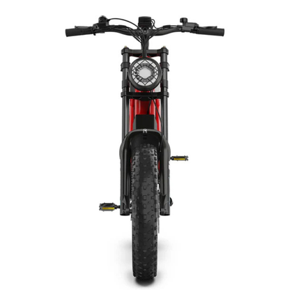 HIDOES B6 CRUISER Adult E-Bike Motorcycle 250W 15.5mph 50mi Speed Adjust System