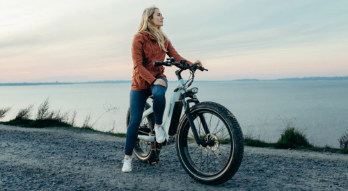 HIMIWAY D5 ZEBRA Premium All-Terrain Fat Tyre E-Bike - 750W Power - 28mph Speed - 80mi Range - 20Ah Battery