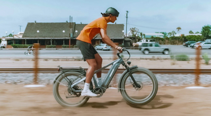 HIMIWAY D5 ZEBRA Premium All-Terrain Fat Tyre E-Bike - 750W Power - 28mph Speed - 80mi Range - 20Ah Battery