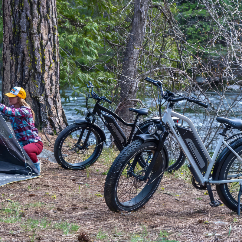 HIMIWAY D3 Cruiser E-Bike 250W(1200w max Power) 15.5mph(25mph Derestricted) 60mi 15Ah 80Nm