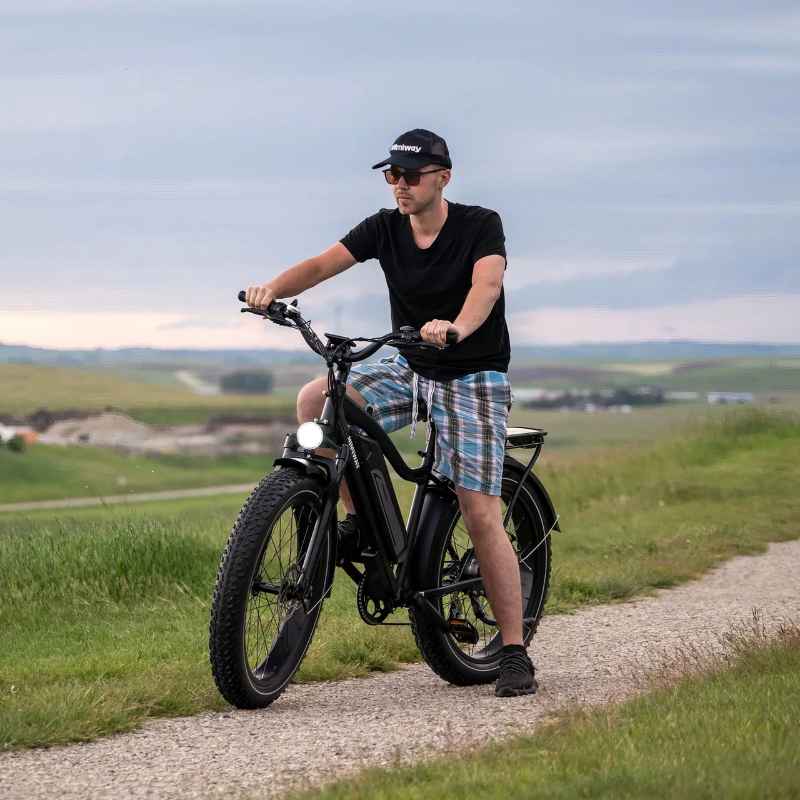 HIMIWAY D3 Cruiser E-Bike 250W(1200w max Power) 15.5mph(25mph Derestricted) 60mi 15Ah 80Nm