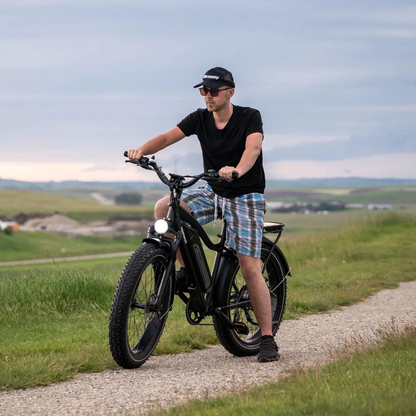 HIMIWAY D3 Cruiser E-Bike 250W(1200w max Power) 15.5mph(25mph Derestricted) 60mi 15Ah 80Nm