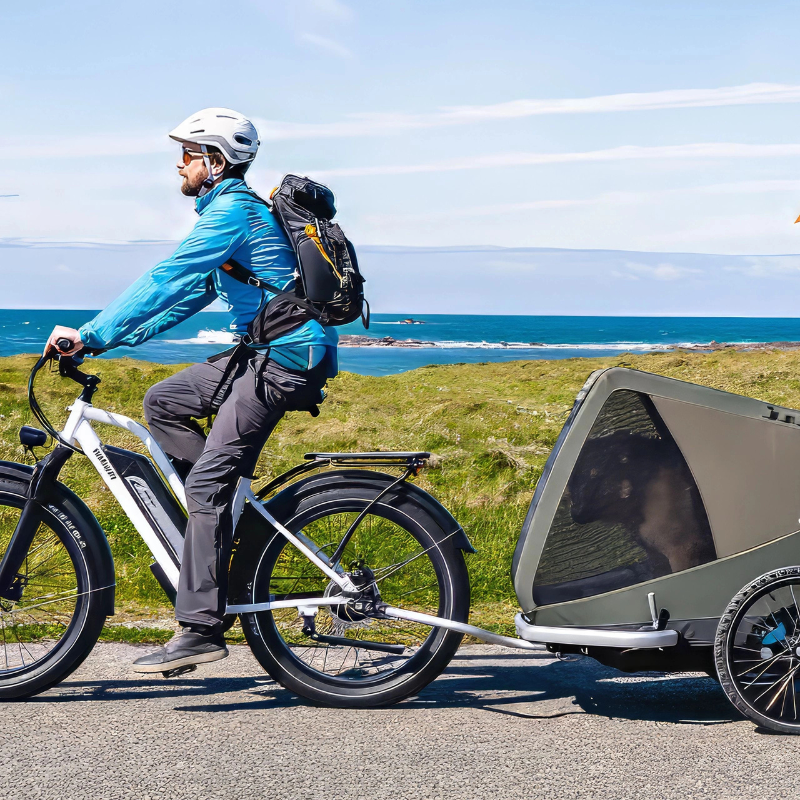 HIMIWAY D3 Cruiser E-Bike 250W(1200w max Power) 15.5mph(25mph Derestricted) 60mi 15Ah 80Nm