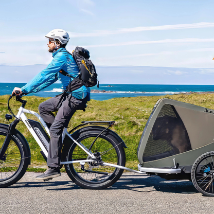 HIMIWAY D3 Cruiser E-Bike 250W(1200w max Power) 15.5mph(25mph Derestricted) 60mi 15Ah 80Nm