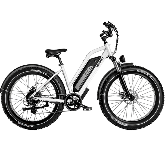 HIMIWAY D3 Cruiser E-Bike 250W(1200w max Power) 15.5mph(25mph Derestricted) 60mi 15Ah 80Nm