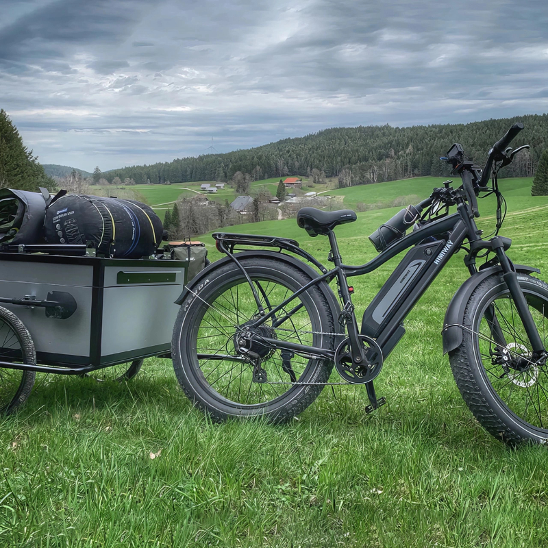 HIMIWAY D3 Cruiser E-Bike 250W(1200w max Power) 15.5mph(25mph Derestricted) 60mi 15Ah 80Nm