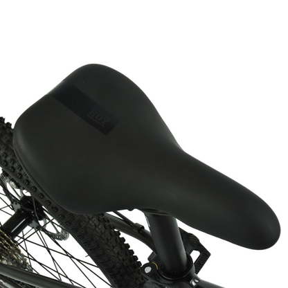 HOY PENTLAND 26" Kids Bike Titanium Silver