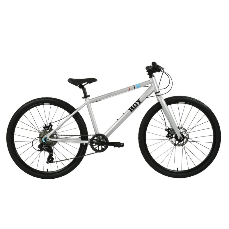 HOY PENTLAND 26" Kids Bike Titanium Silver