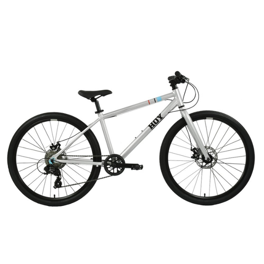 HOY PENTLAND 26" Kids Bike Titanium Silver