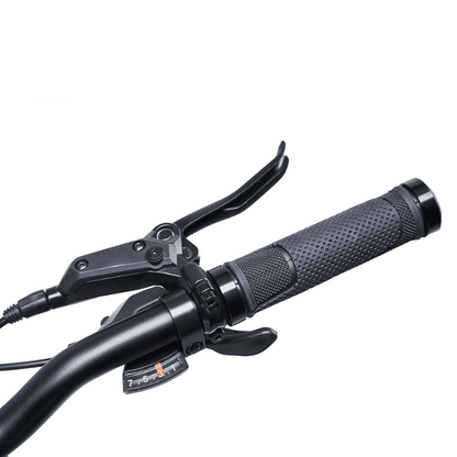 HYGGE Vester Foldable Fat Tyre All Terrain Electric Bike - Top Speed 15.5mph | 46mi Range | 48V Battery | Hub Motor | 250W Power - Onyx Black