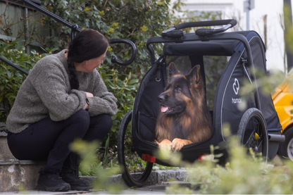 Hamax Pluto Dog Bike Trailer & Stroller – Large