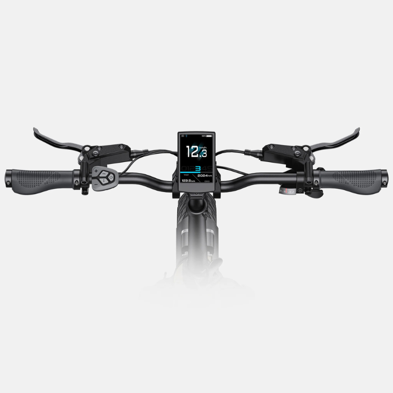 ENGWE LE20 3.0 Pro Full Suspension Compact Folding E-bike Top Speed 15.5mph 160km Range 100Nm Torque Mid-drive Motor 250W ***PRESALE AVAILABLE***