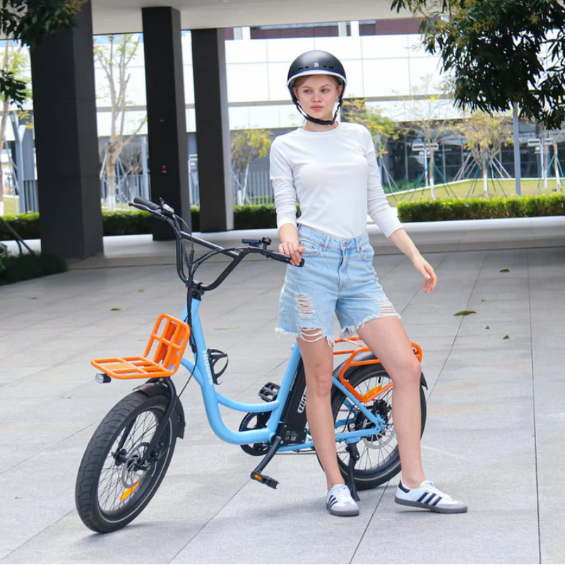 HIDOES C6 Adult City E-Bike 250W 15.5mph 27km 36V