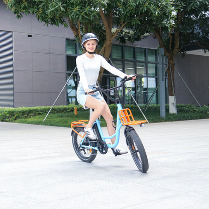 HIDOES C6 Adult City E-Bike 250W 15.5mph 27km 36V