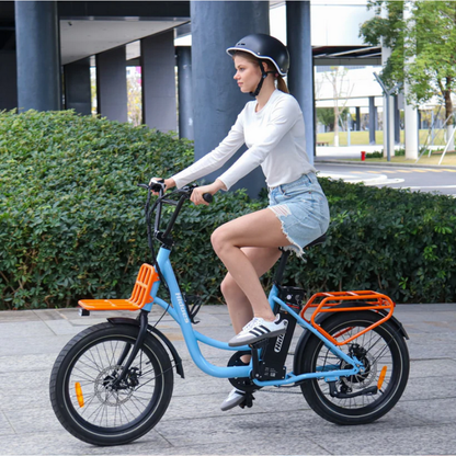 HIDOES C6 Adult City E-Bike 250W 15.5mph 27km 36V