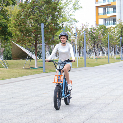 HIDOES C6 Adult City E-Bike 250W 15.5mph 27km 36V