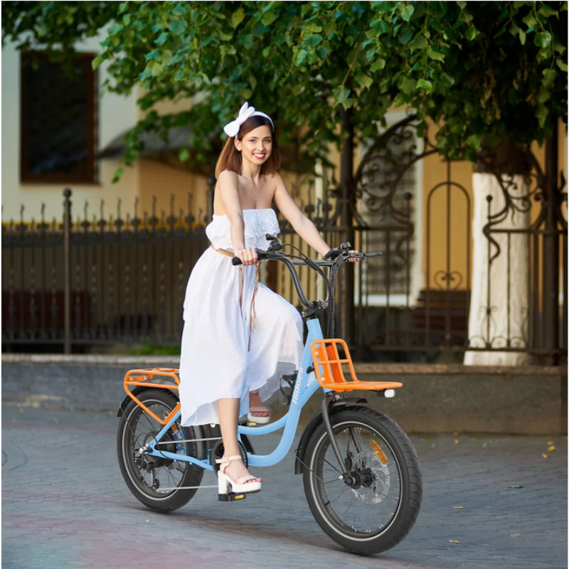 HIDOES C6 Adult City E-Bike 250W 15.5mph 27km 36V