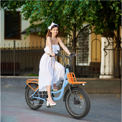 HIDOES C6 Adult City E-Bike 250W 15.5mph 27km 36V