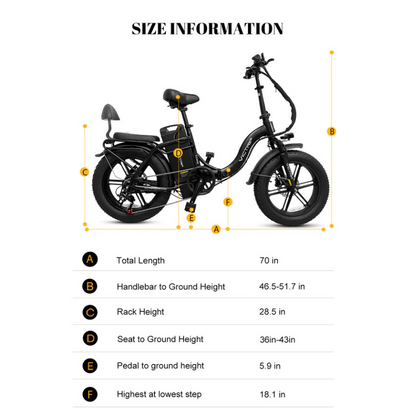 VICTRIP TITAN S Foldable E-bike 250w 15.5mph 298km