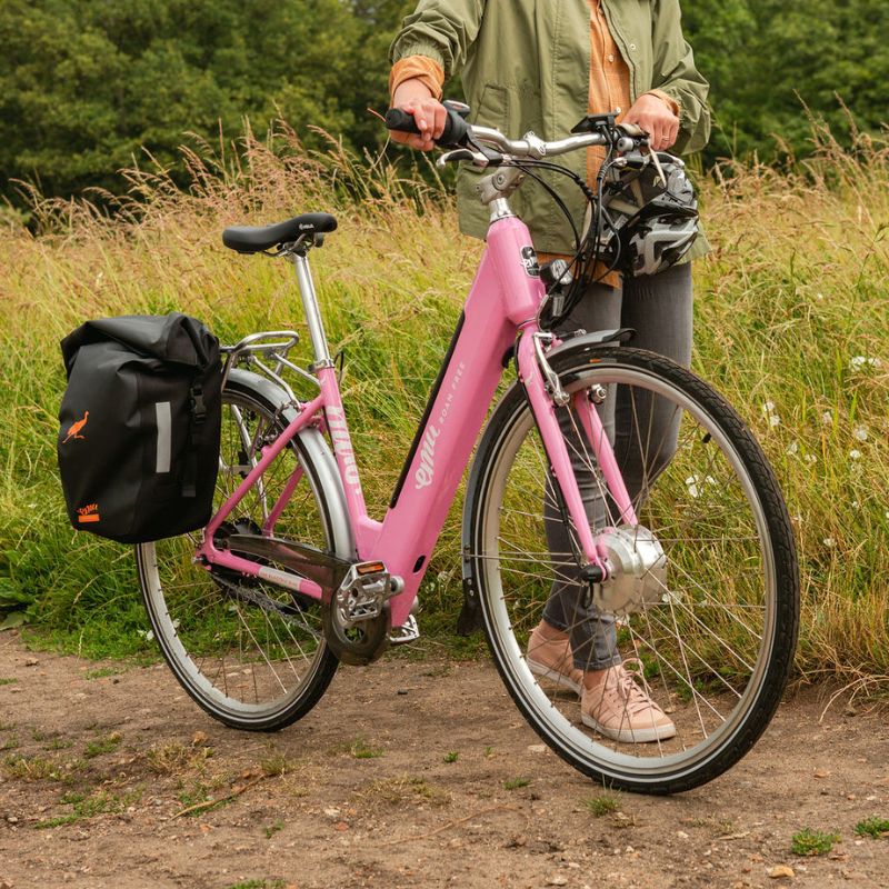 EMU Roam Mk2 Step Through Hybrid Electric Bike - Top Speed 15.5mph | 55mi Range | 250W Power