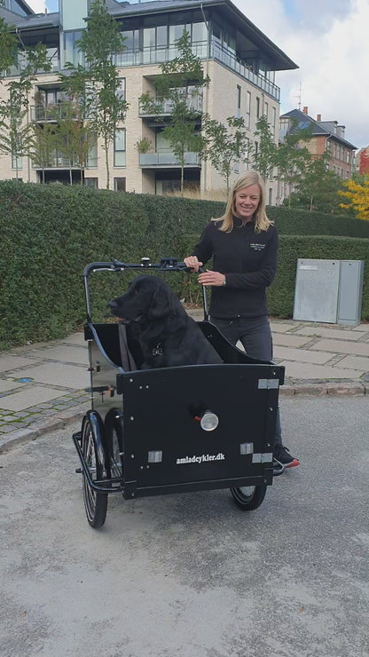 AMCargo Bikes Curve Dog Friendly Electric Tadpole Cargo Trike 250W