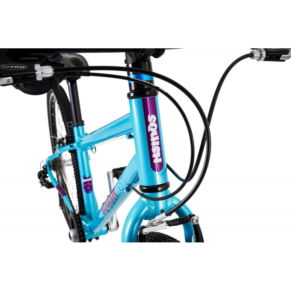 Squish 26 Kids Bike 9yrs +