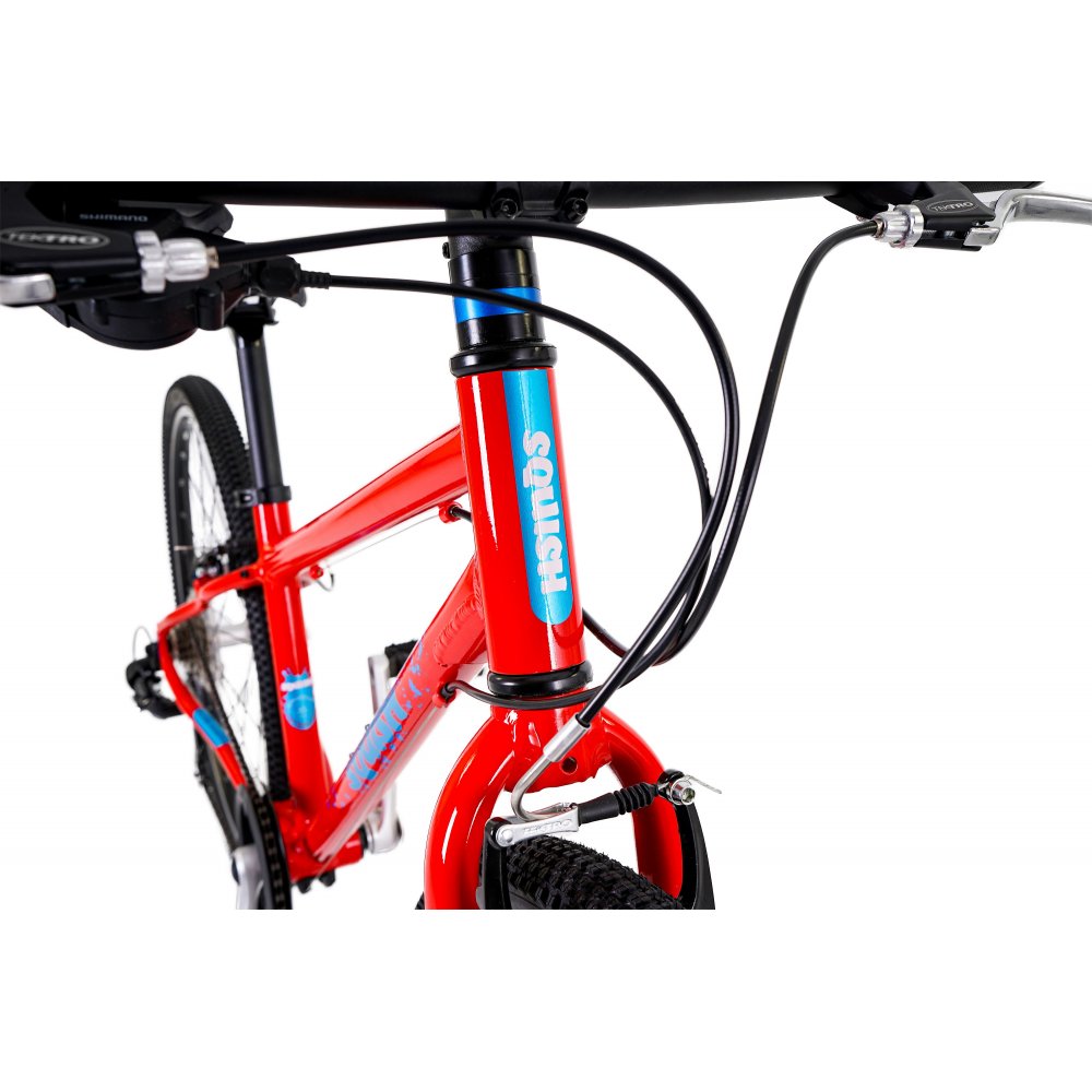 Squish 26 Kids Bike 9yrs +